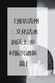潍坊青州：文化活水润沃土 乡村振兴谱新篇